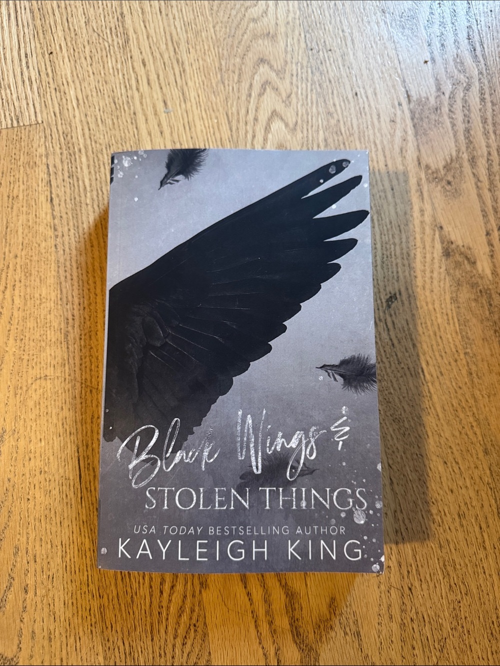 Black Wings & Stolen Things Book